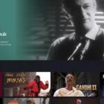 李鬼版Netflix上线 网站收录大量“虚构”影片